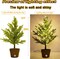 18 Colors Artificial Mini Christmas Tree, 20In Lighted Tabletop Xmas Tree with Color Changing LED Lights, Pre-Lit Small Christmas Tree in Pot Remote Timer Festive Party Holiday Fake Multicolored Tree